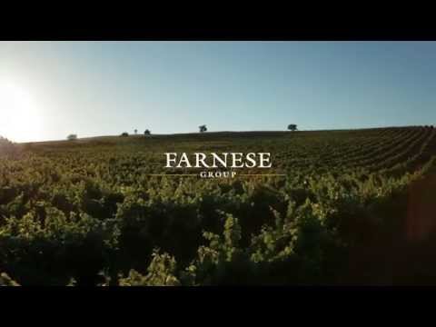 Farnese Vini OFFICIAL VIDEO