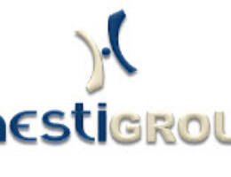 Logo onestigroup