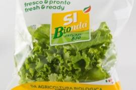 SI Bionda - insalata bio
