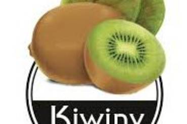 kiwiny logo