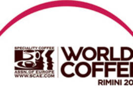 World of coffee