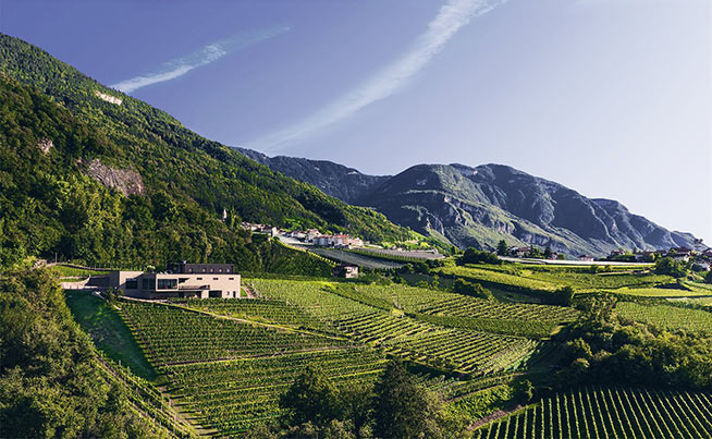 Tenuta-PFITSCHER