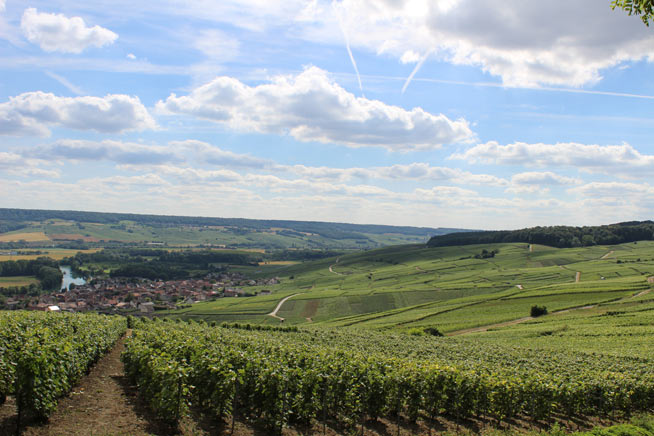 champagne-paesaggio-villaggio