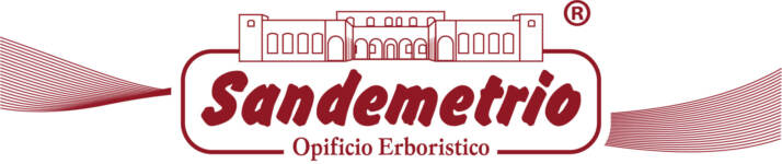 logo Sandemetrio Srl