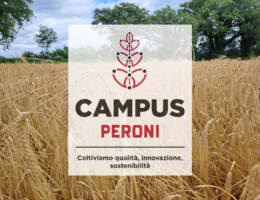 Campus Peroni: ricerca e innovazione per una filiera brassicola più resiliente