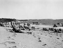 80 anni dallo sbarco in Normandia, 8 Calvados per celebrare il D-Day