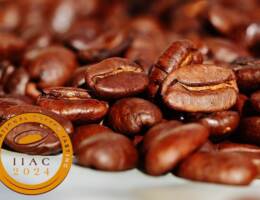 International Coffee Tasting: la sessione dedicata al mondo del caffè in grani dal 5 al 7 novembre