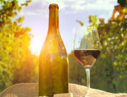 Vendite vino GDO in Italia 1° semestre 2024: valori in crescita dell’1,6% ma calo dei volumi dell’1,3%