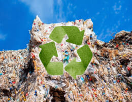 Cresce il riciclo imballaggi: nel 2023 riciclato il 75,3% dell’immesso al consumo