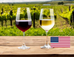 Osservatorio UIV-Vinitaly: i consumi di vino negli USA non ripartono; -6% nei primi 5 mesi 2024