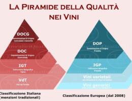 Report vini Mediobanca: focus sui vini italiani a indicazione d’origine e geografica (DOP e IGP)