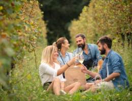 Festival Franciacorta in cantina dal 13 al 15 settembre 2024: degustazioni e iniziative speciali