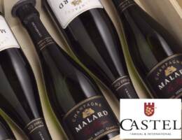 Il gruppo Castel entra nel mondo dello Champagne con l’acquisizione di Maison Malard