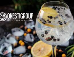 International Gin & Tonic Day: 6 gin esclusivi di OnestiGroup da abbinare con le toniche Double Dutch