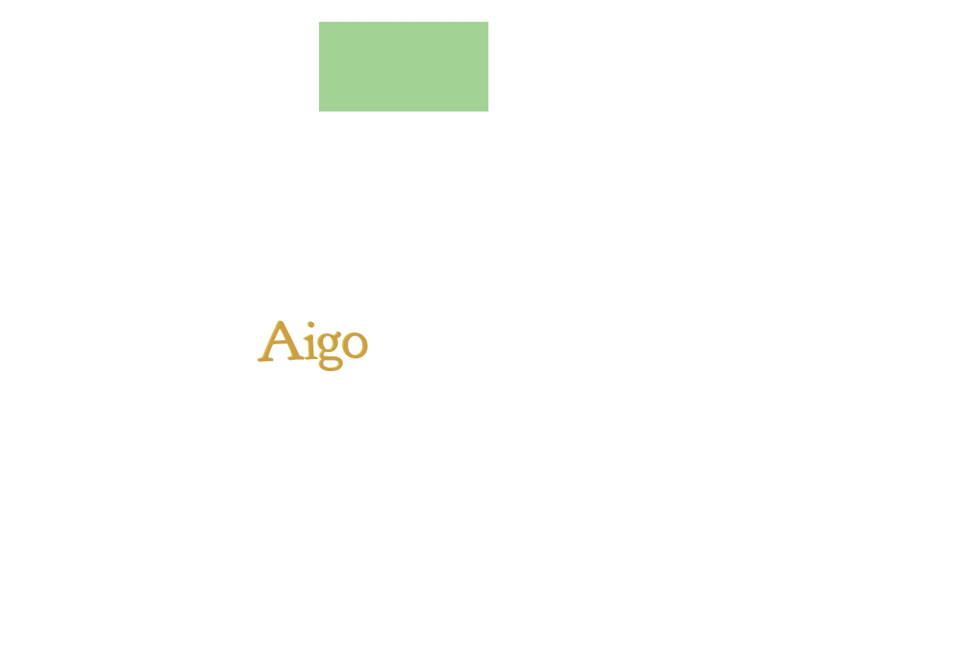 logo Aigo