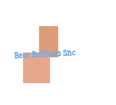 logo Beer Brothers Snc