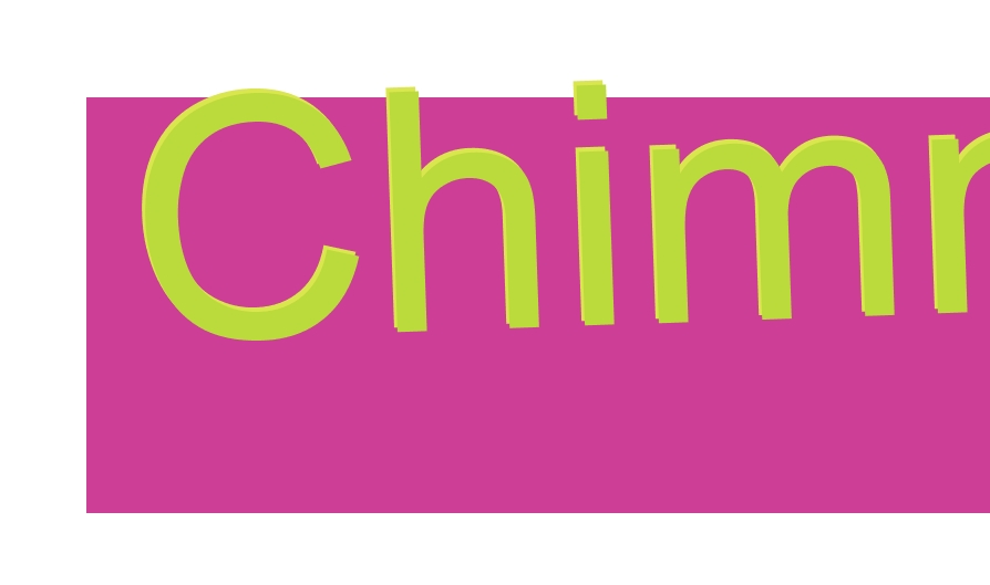 logo Chimney Store