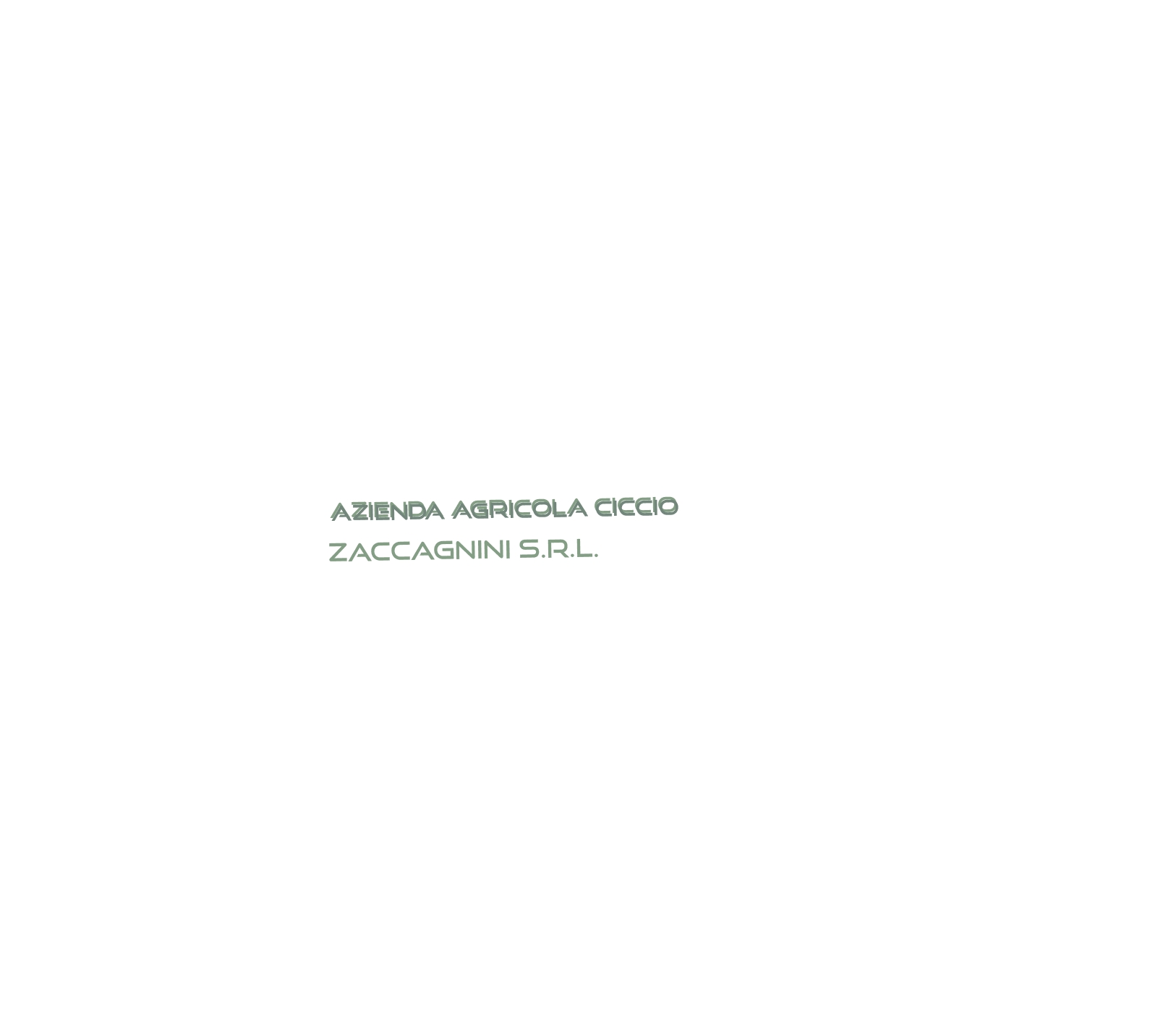 logo Azienda Agricola Ciccio Zaccagnini S.r.l.