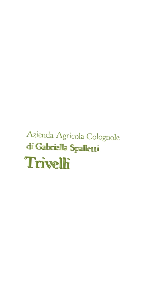 logo Azienda Agricola Colognole di Gabriella Spalletti Trivelli