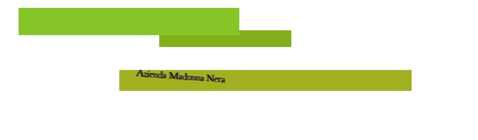 logo Azienda Madonna Nera