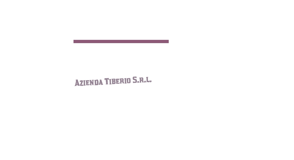 logo Azienda Tiberio S.r.l.