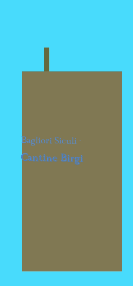 logo Bagliori Siculi - Cantine Birgi