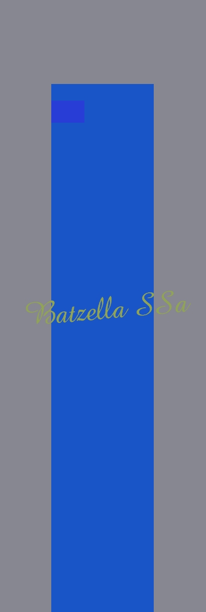 logo Batzella SSa