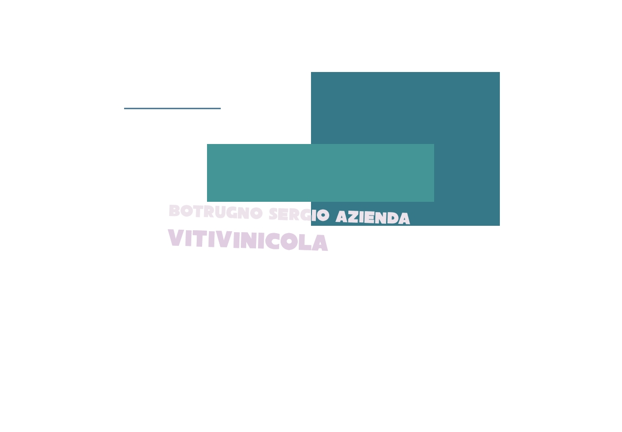 logo Botrugno Sergio Azienda Vitivinicola