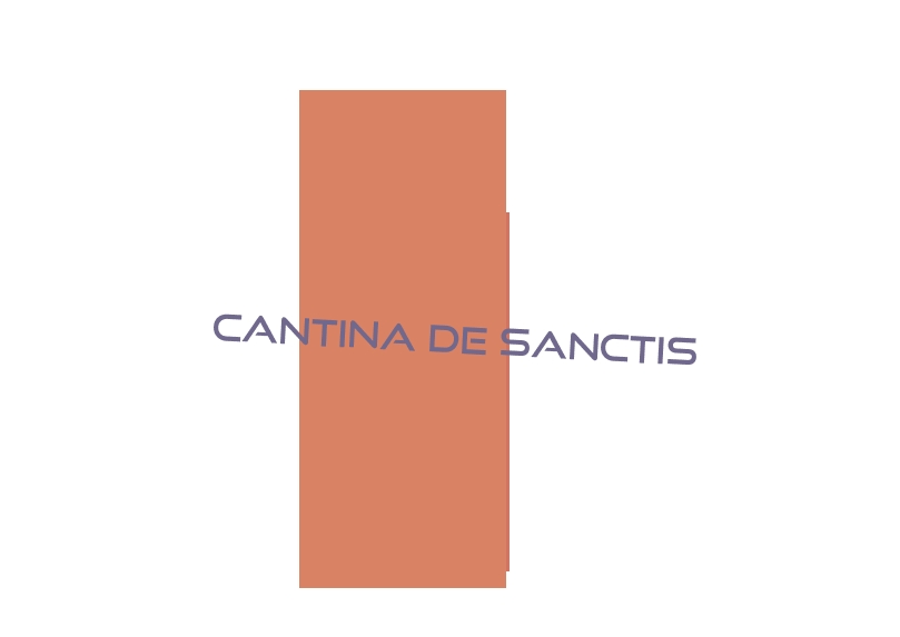 logo Cantina De Sanctis