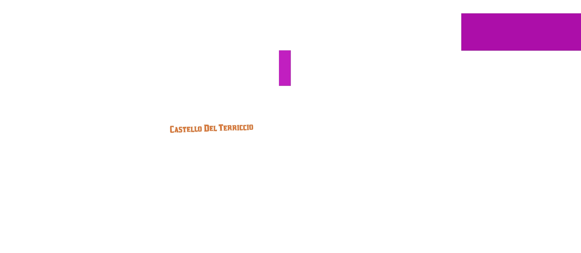 logo Castello Del Terriccio