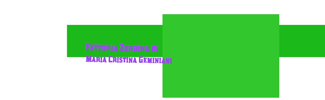 logo Fattoria Zerbina di Maria Cristina Geminiani