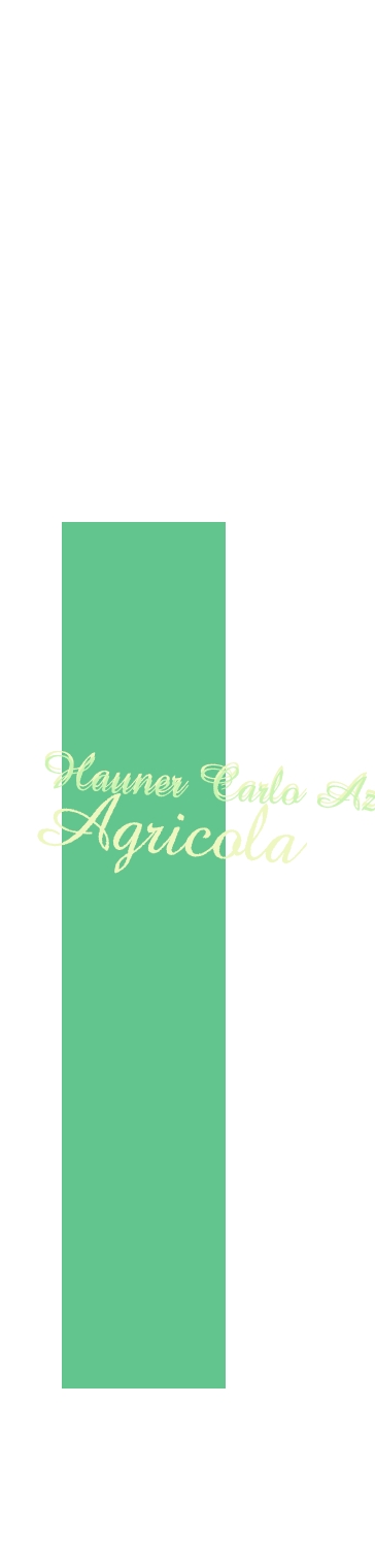 logo Hauner Carlo Azienda Agricola