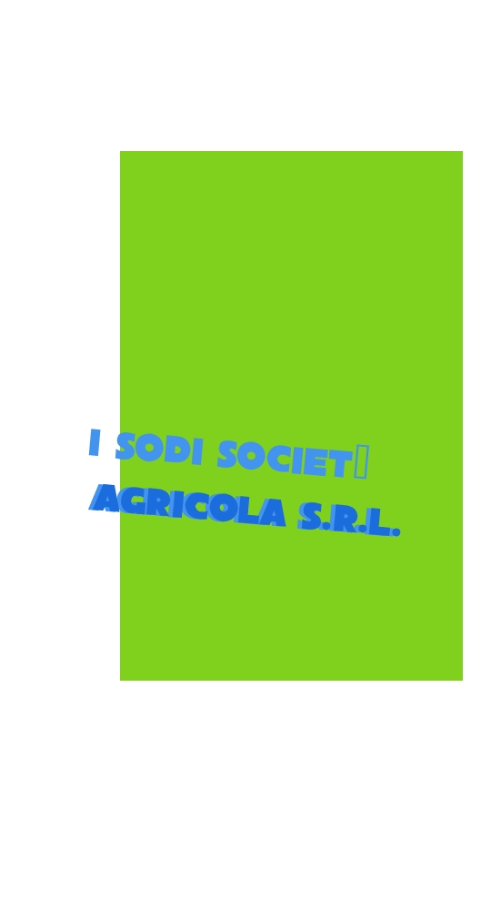 logo I Sodi Società Agricola S.r.l.