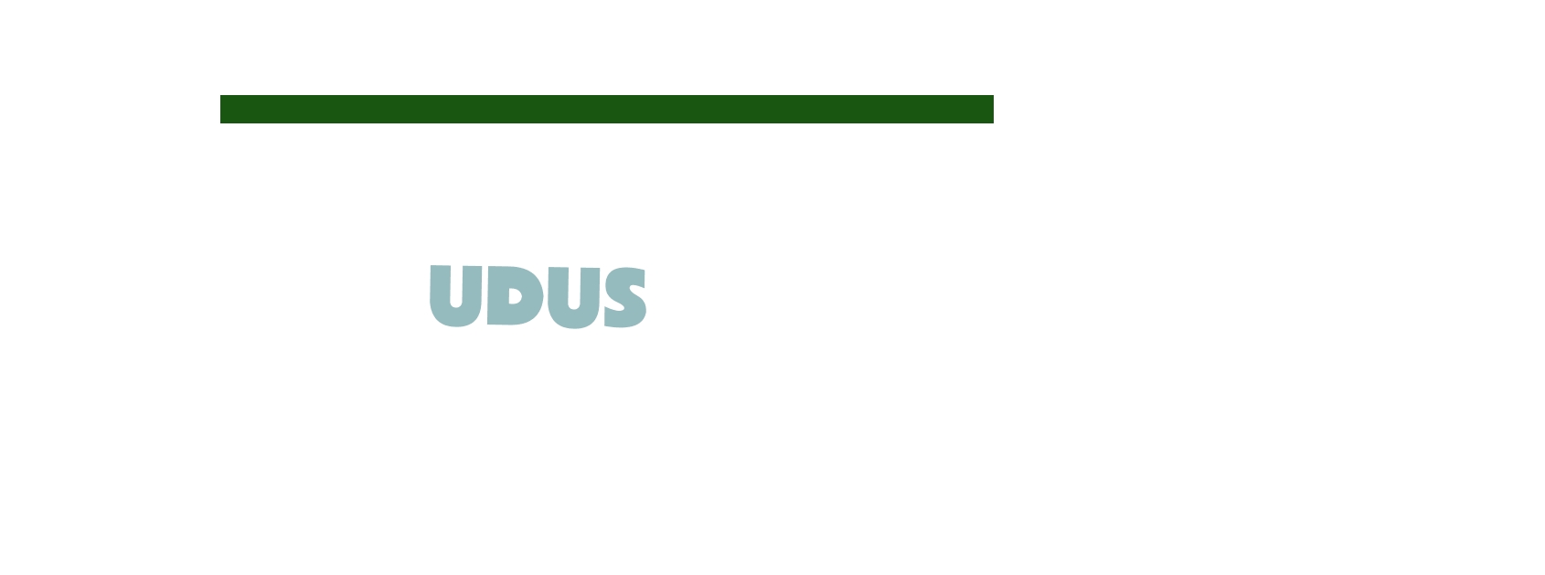 logo Udus