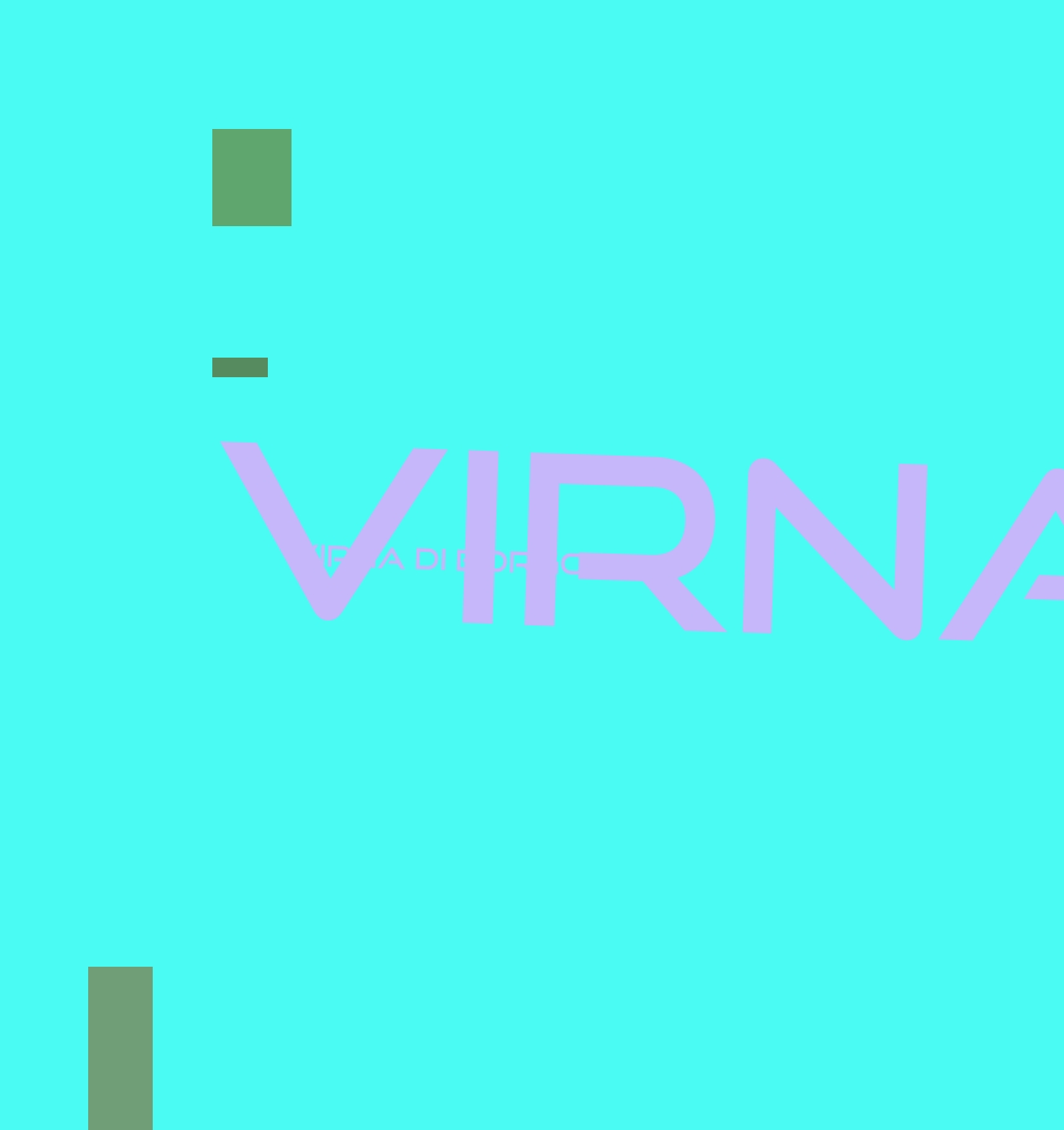 logo Virna di Borgogno Virna