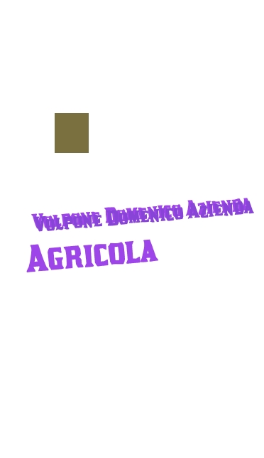 logo Volpone Domenico Azienda Agricola
