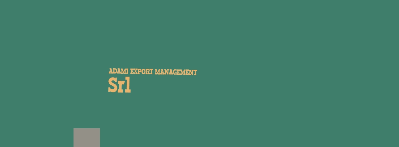logo Adami Export Management Srl