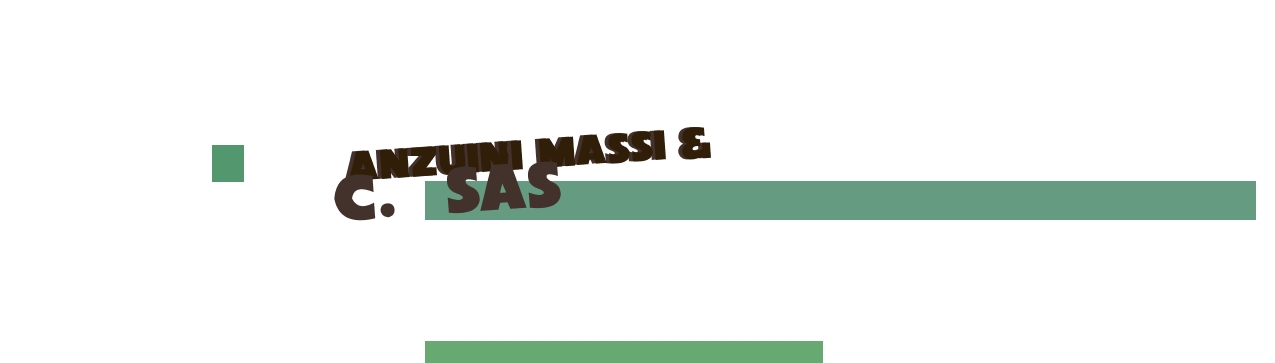 logo Anzuini Massi & C. Sas