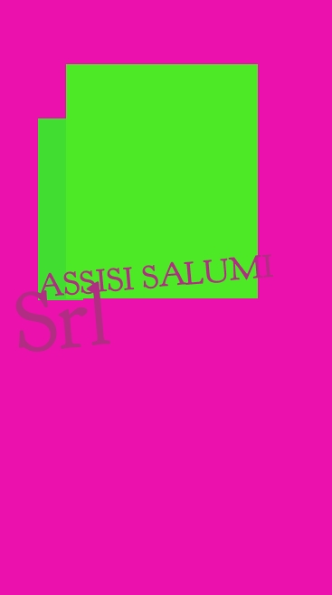 logo Assisi Salumi Srl