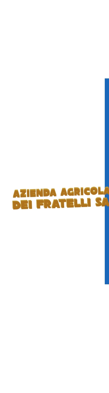 logo Azienda Agricola Sant‘Anna dei Fratelli Sanna
