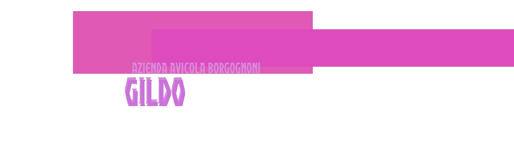 logo Azienda Avicola Borgognoni Gildo