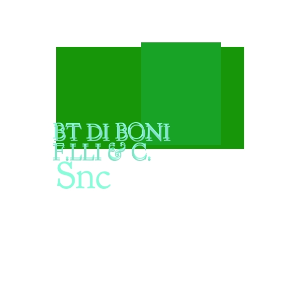 logo Bt di Boni F.lli & C. Snc