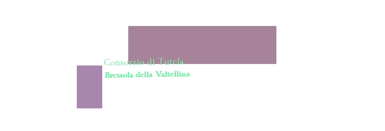 logo Consorzio di Tutela Bresaola della Valtellina