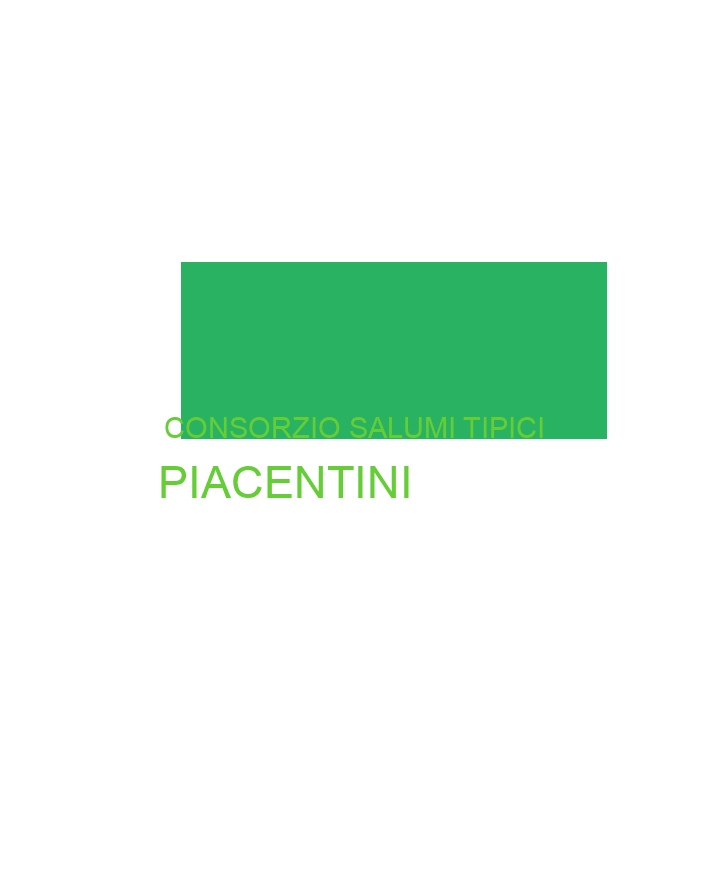 logo Consorzio Salumi Tipici Piacentini