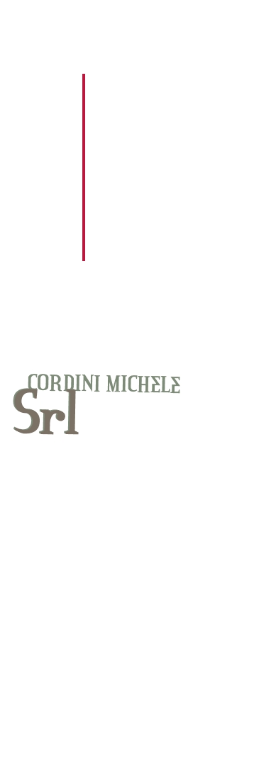 logo Cordini Michele Srl