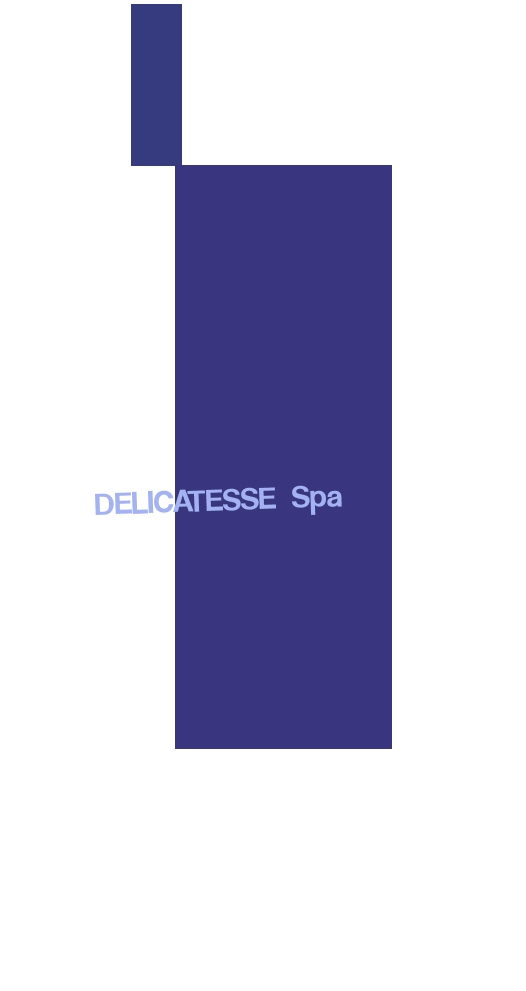 logo Delicatesse SpA