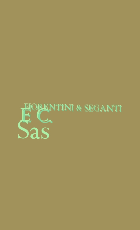 logo Fiorentini & Seganti e C. Sas