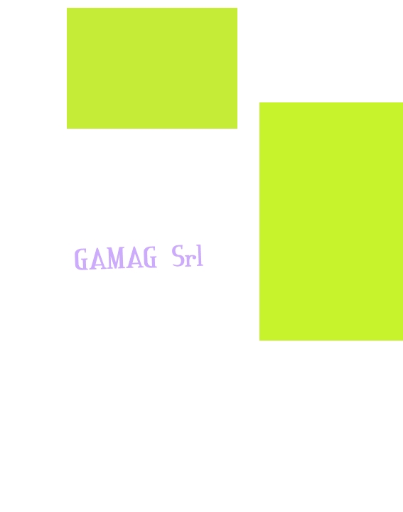 logo Gamag Srl
