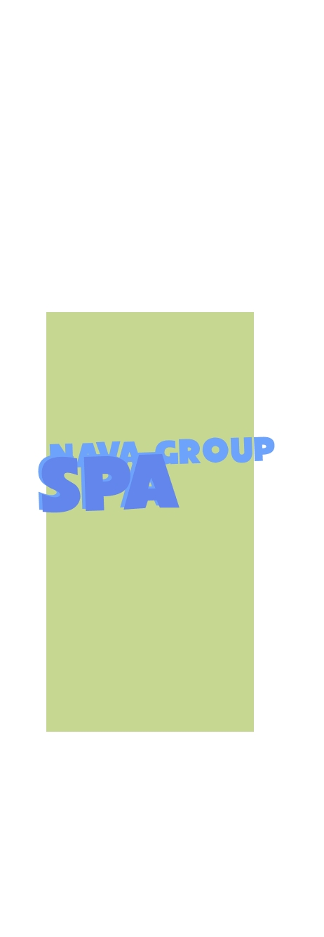 logo Nava Group SpA