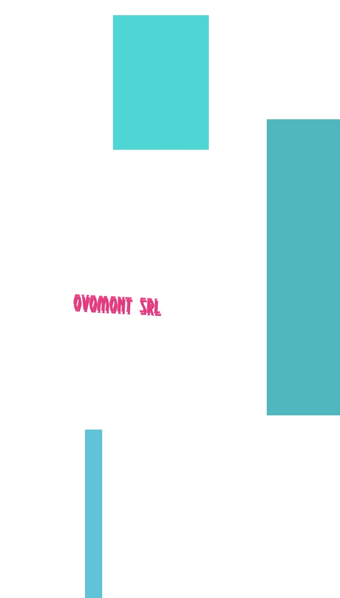 logo Ovomont Srl